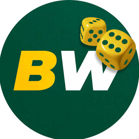 Understanding the BetWinner Login Process A Step-by-Step Guide